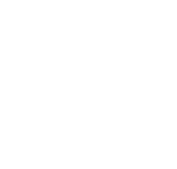 CaminoBeds Logo
